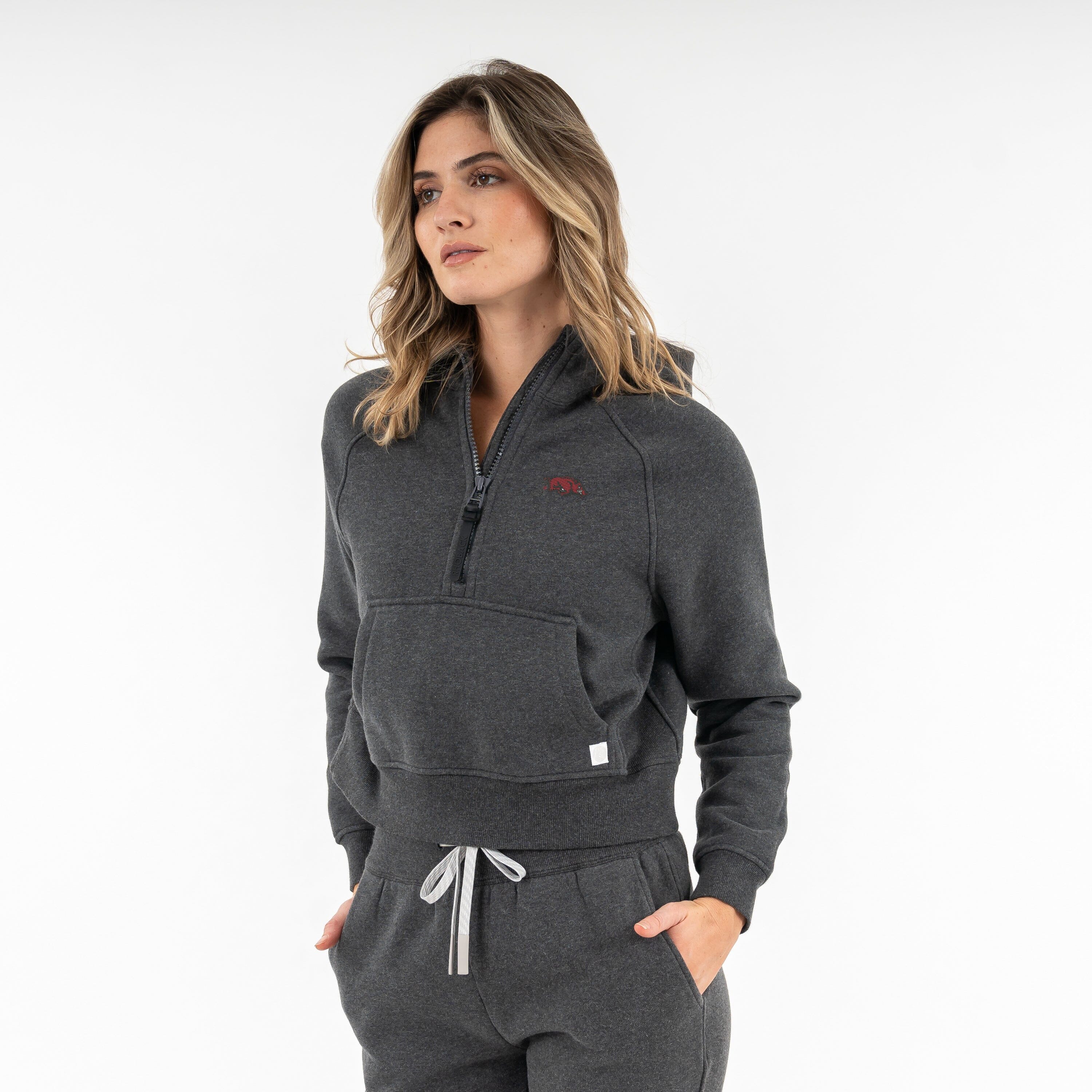 Clarity Collegiate Half-Zip Hoodie - Arkansas | Heather - Midnight Black - AK 5 RED